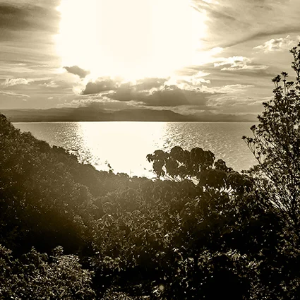 Make sunlight a key feature of your daily health care plan.