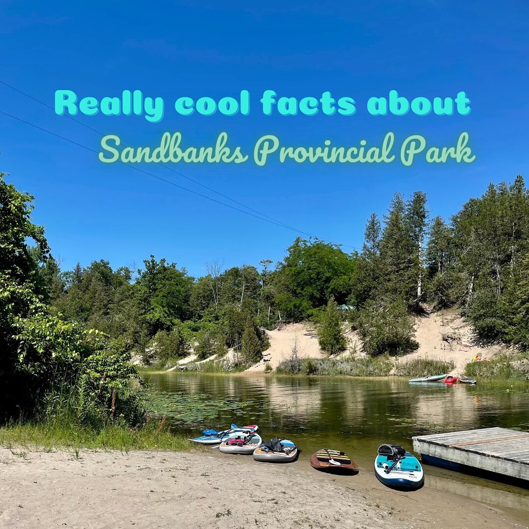 Sandbanks Provincial Park is a special place for many reasons. If you&rsquo;re planning on visiting the park, here are some cool facts to think about when you&rsquo;re enjoying your time outside!