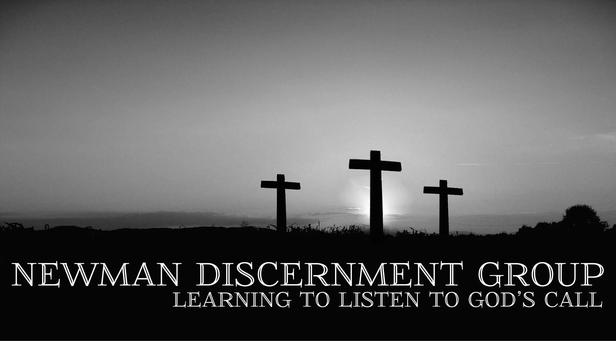 Newman Discernment Group.jpg