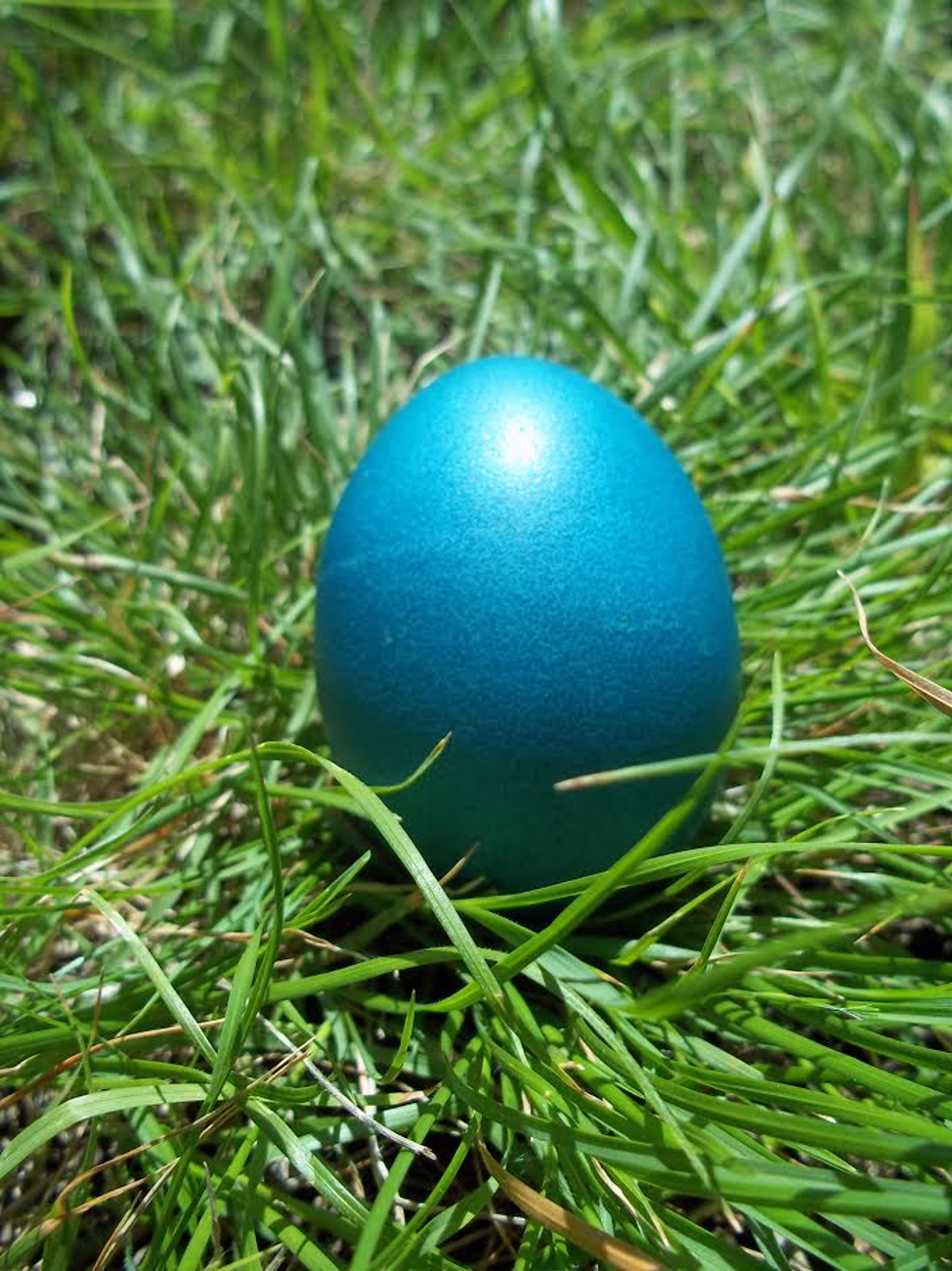Yves Klein egg.png