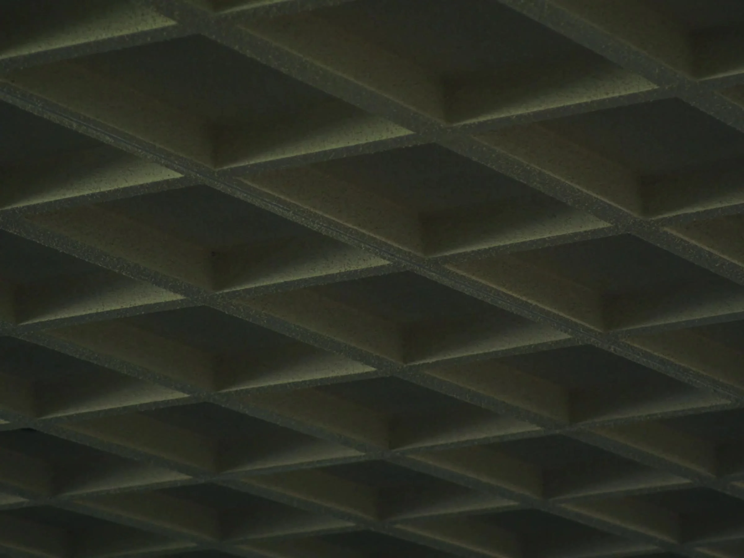 The coffered concrete ceiling of the Newman Hall chapel. Photo by @reagancalaguasfilm