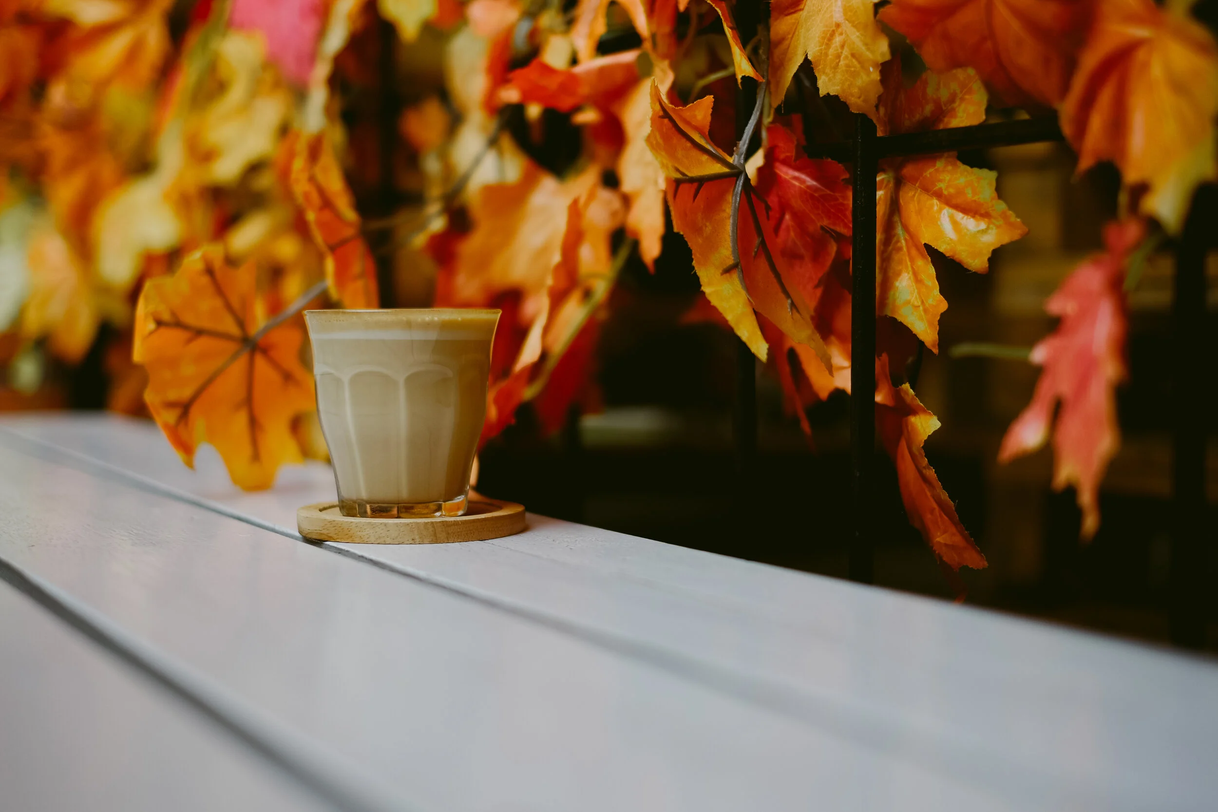 How Holistic Nutrition can balance your body with the seasons: Autumn eating