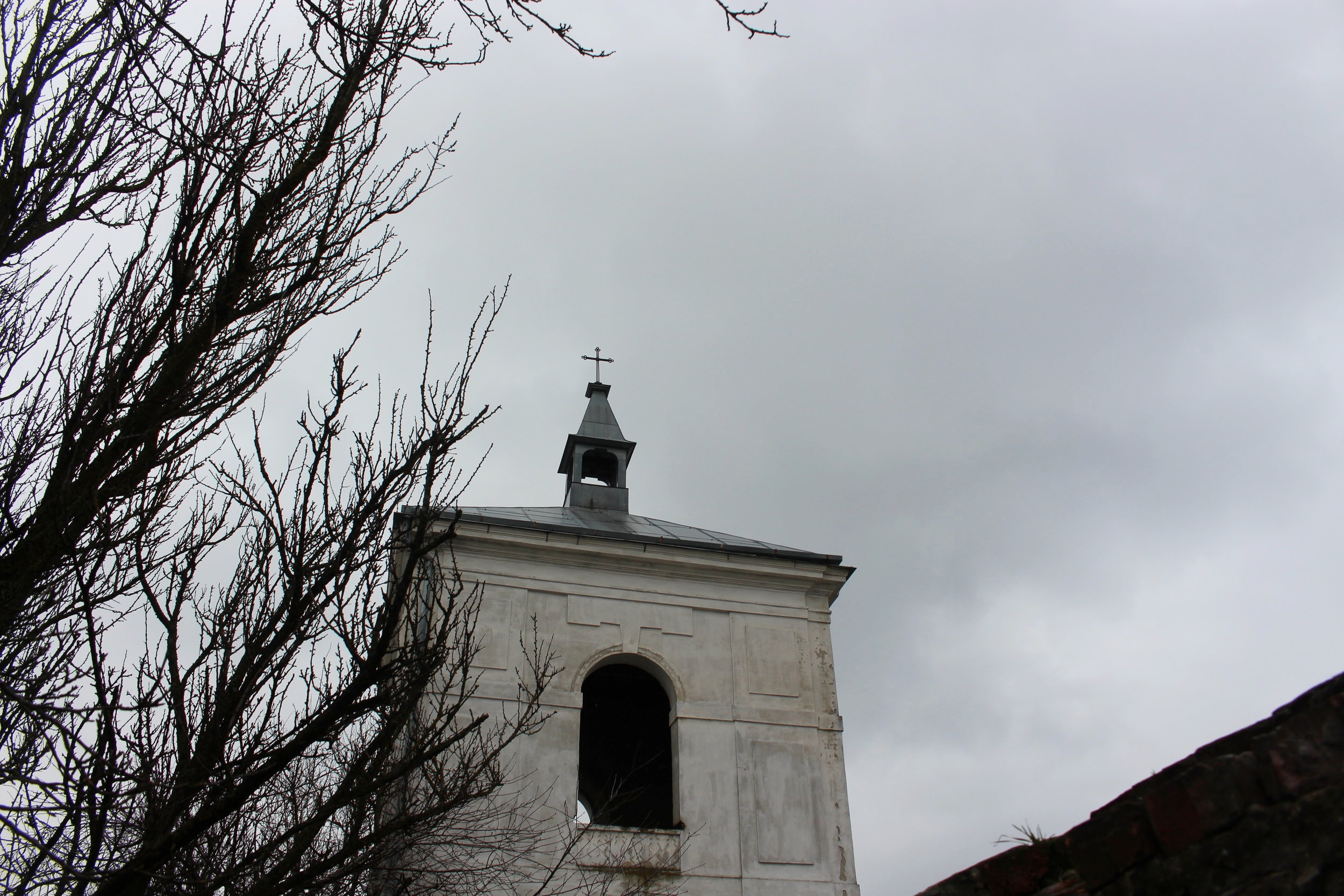 IMG_7723.JPG