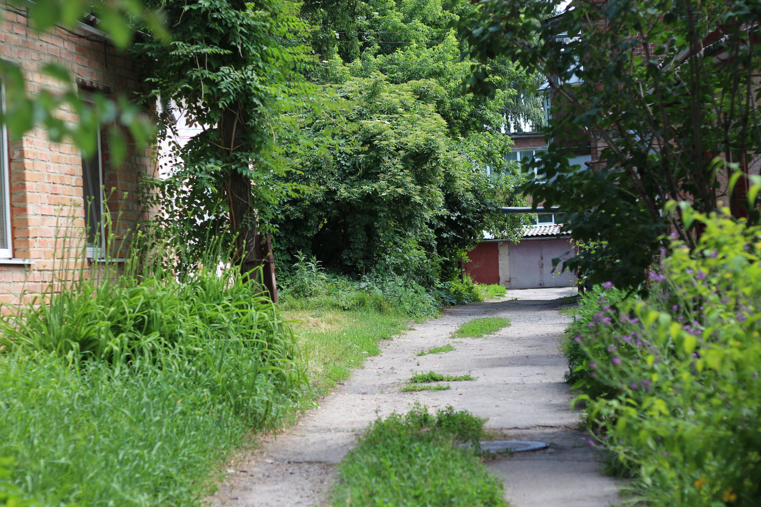  I loved exploring the lush streets around my apartment, which was near  Birch Square . This area reminded me a bit of Winnipeg’s Wolseley neighbourhood.  