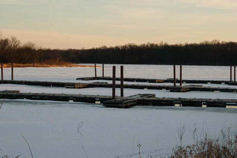 Busse Woods-195.jpg
