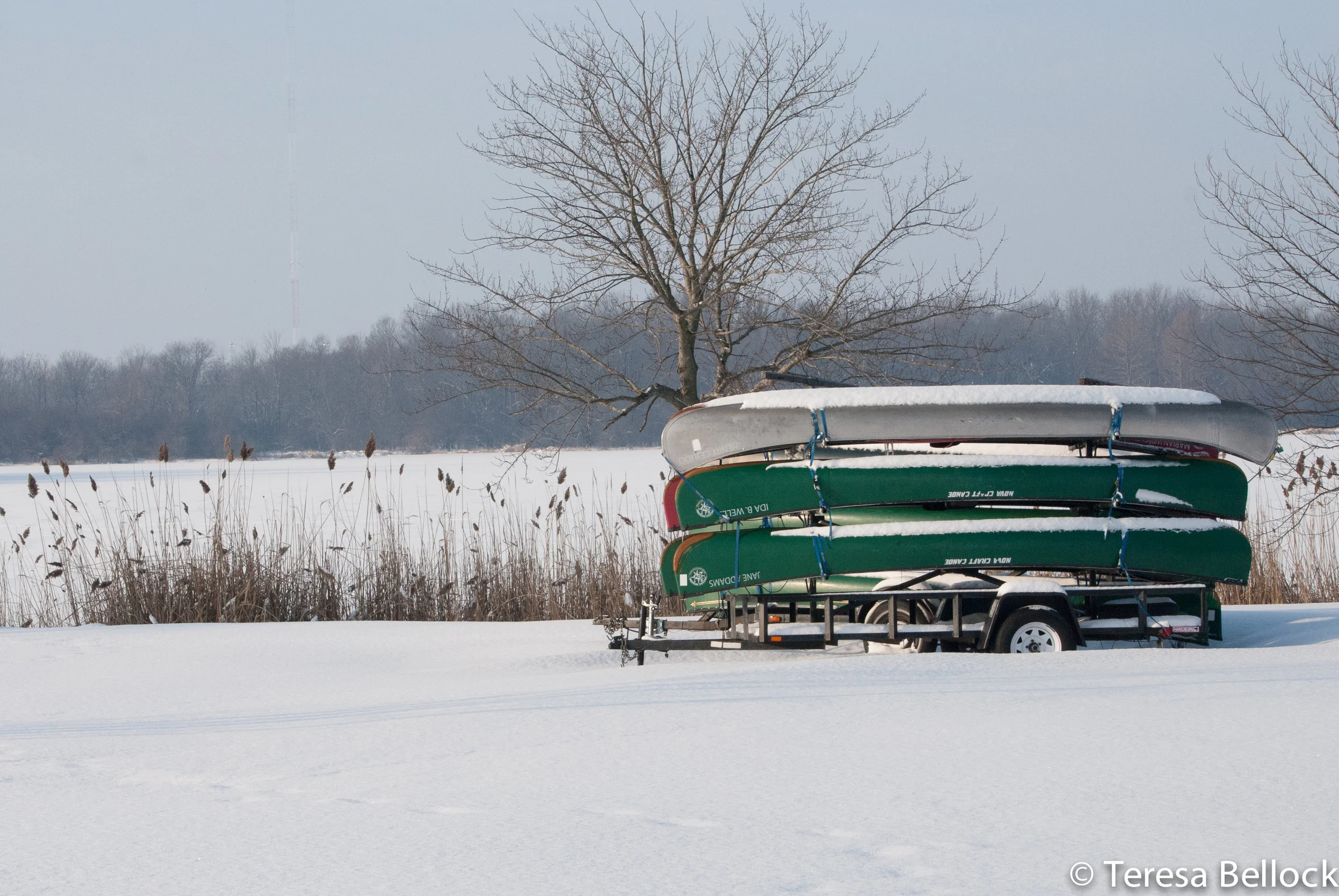 Busse Sunrise 2019-84.jpg