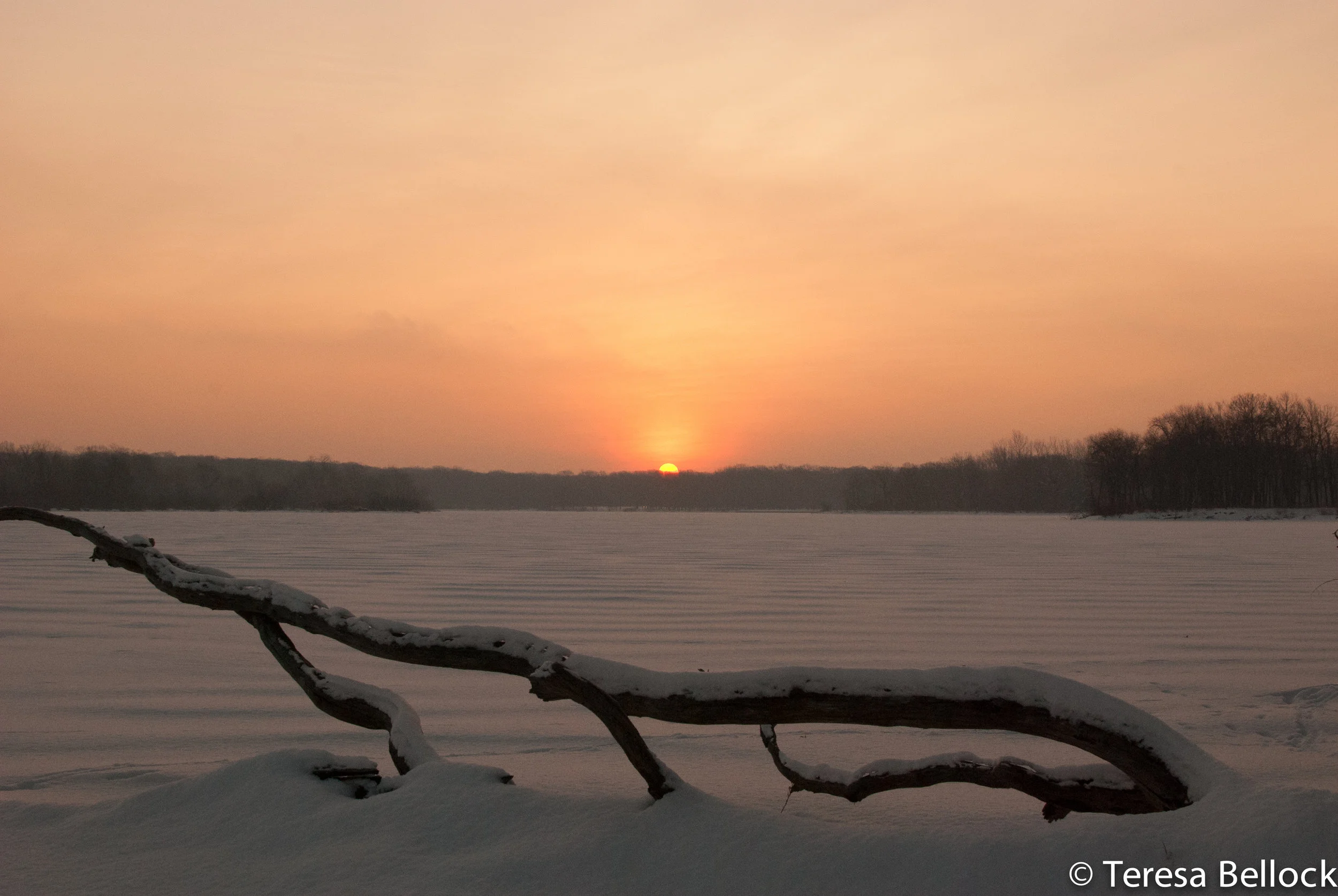 Busse Sunrise 2019-29.jpg