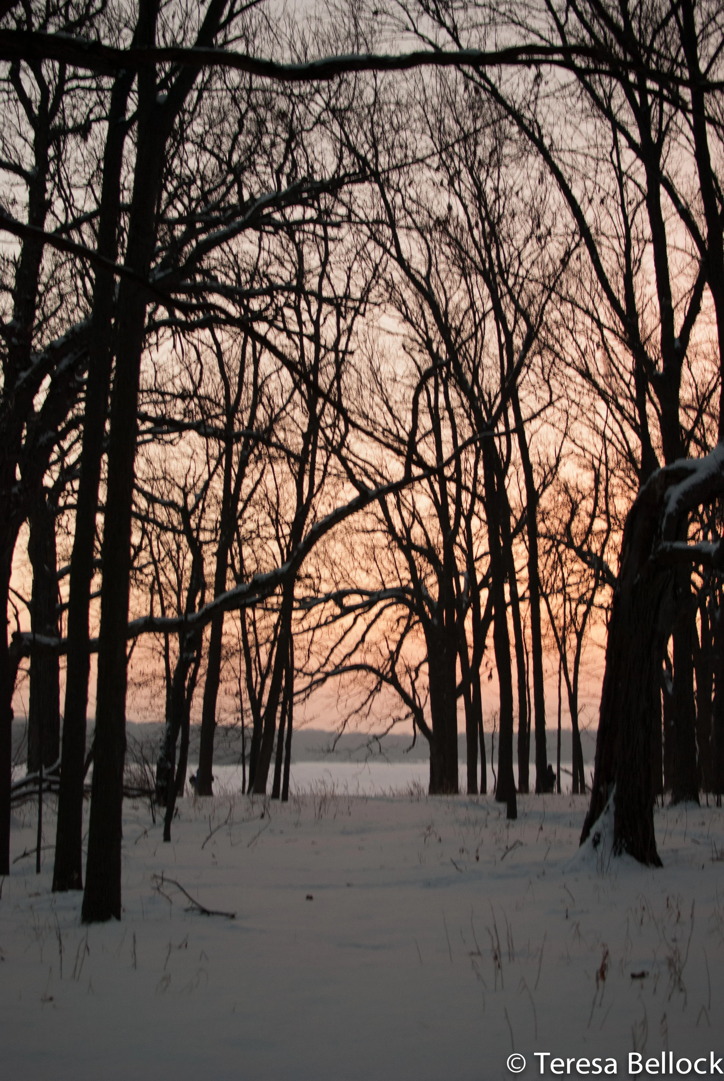 Busse Sunrise 2019-14.jpg