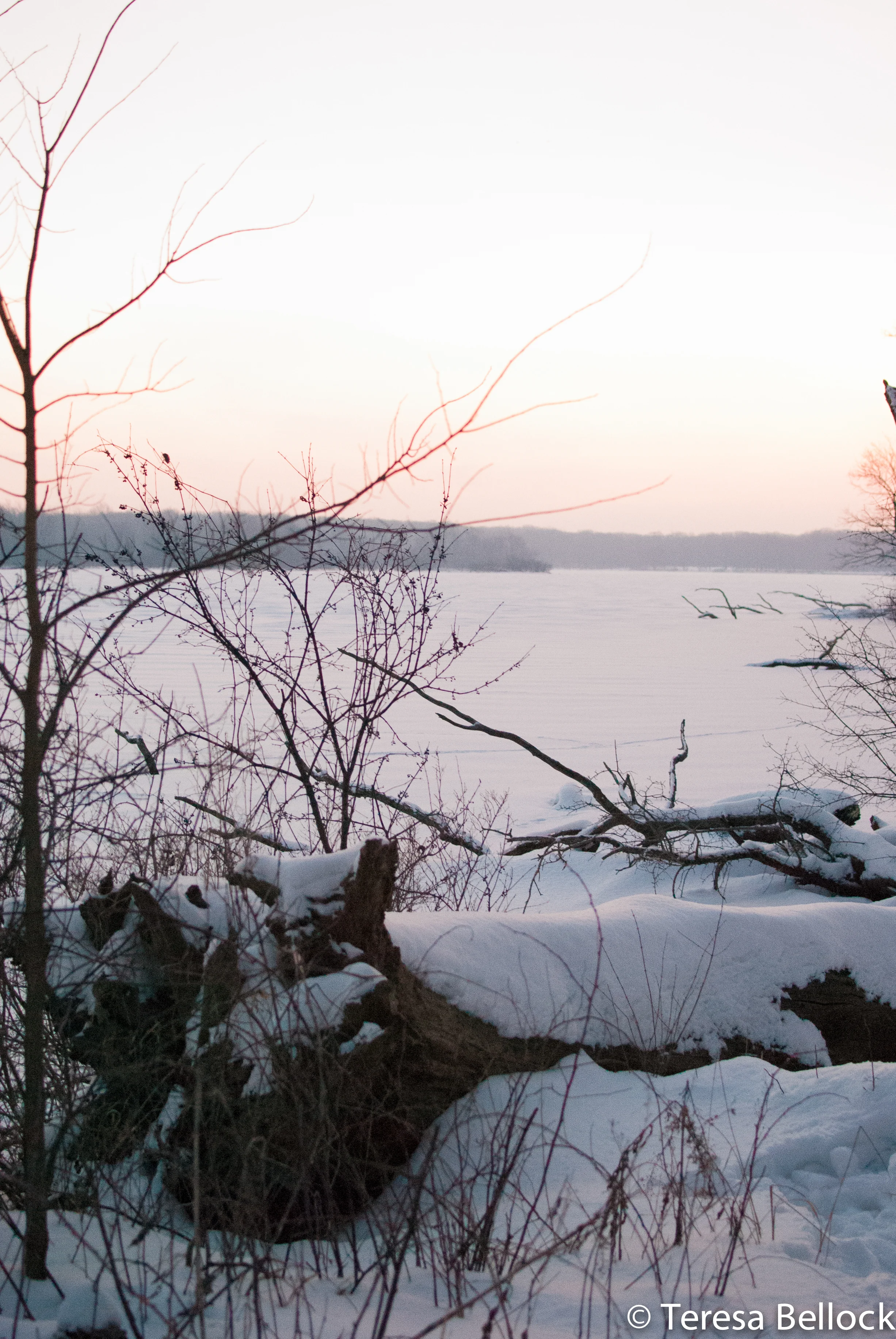 Busse Sunrise 2019-1.jpg