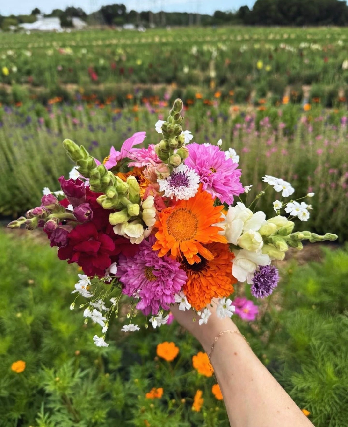 CALLING ALL MAKERS &amp; VINTAGE DEALERS

We&rsquo;re bringing a one-day maker + vintage market to the beautiful grounds of Ward&rsquo;s Berry Farm on Saturday, June 6th! Applications are filling fast and close May 1st.

Field Day is a one-day, open-