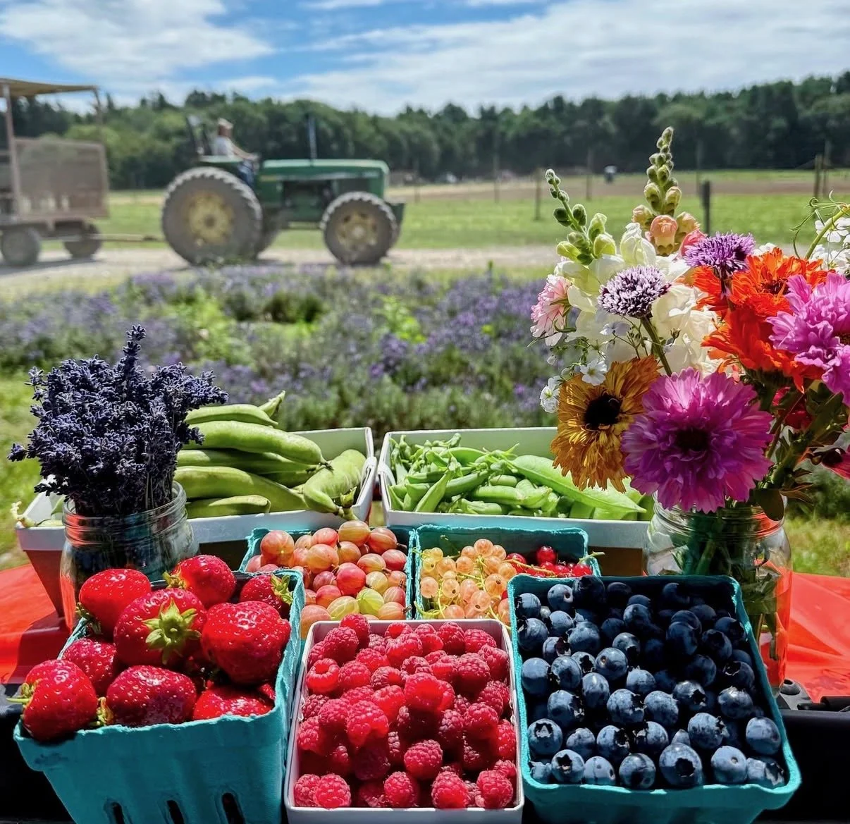 Farm stand at Ward's Berry Farm