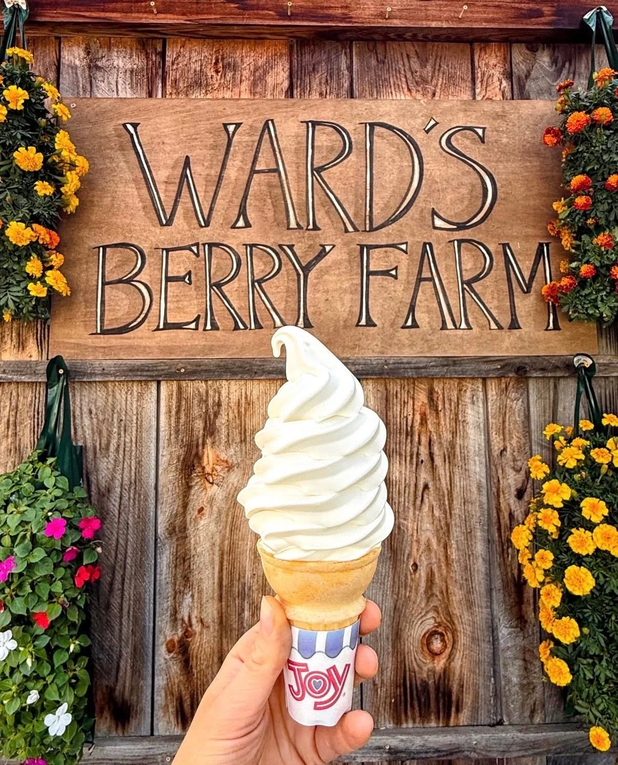 Ward's Berry Farm sign