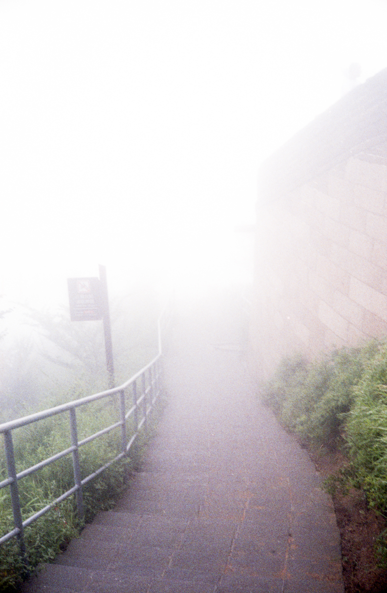1180_Canonet424.jpg