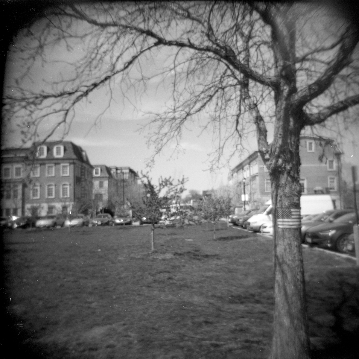 3653_Holga_001.jpg