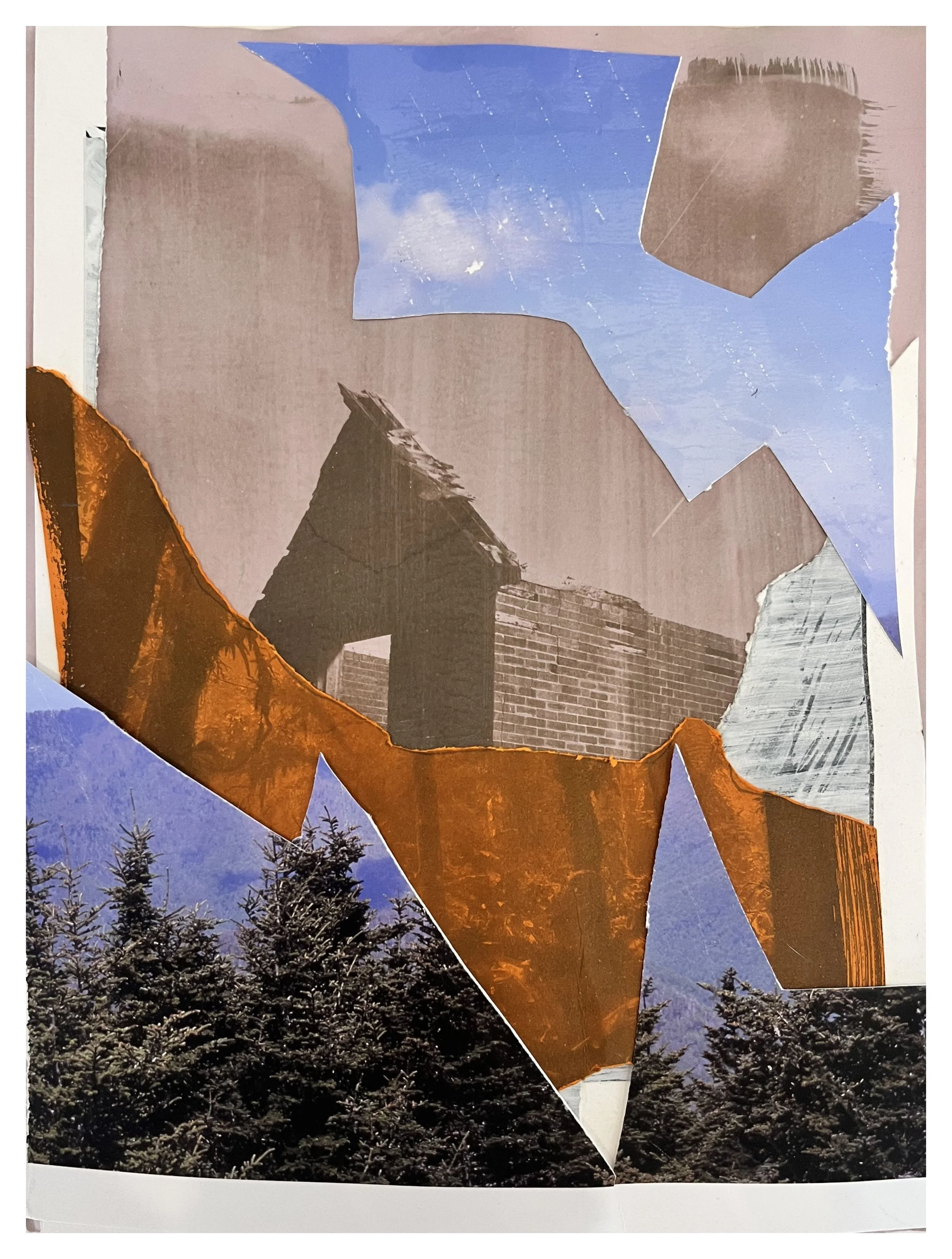  claimed states of mind Toned cyanotype, photographs, scratches 11”x8.5” 2025 