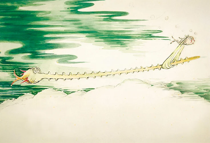  Sawfish with such a Long Snout    