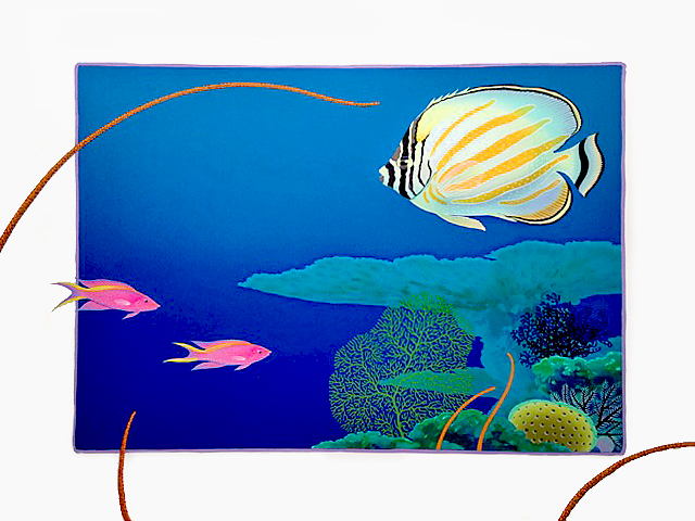  Butterfly Fish with Pink Anthias             