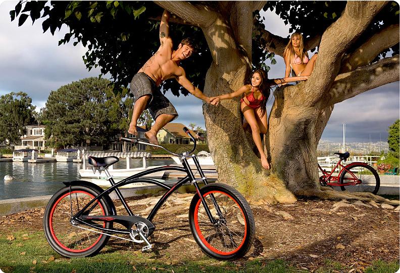 2012-Lifestyle-Modified-2.jpg