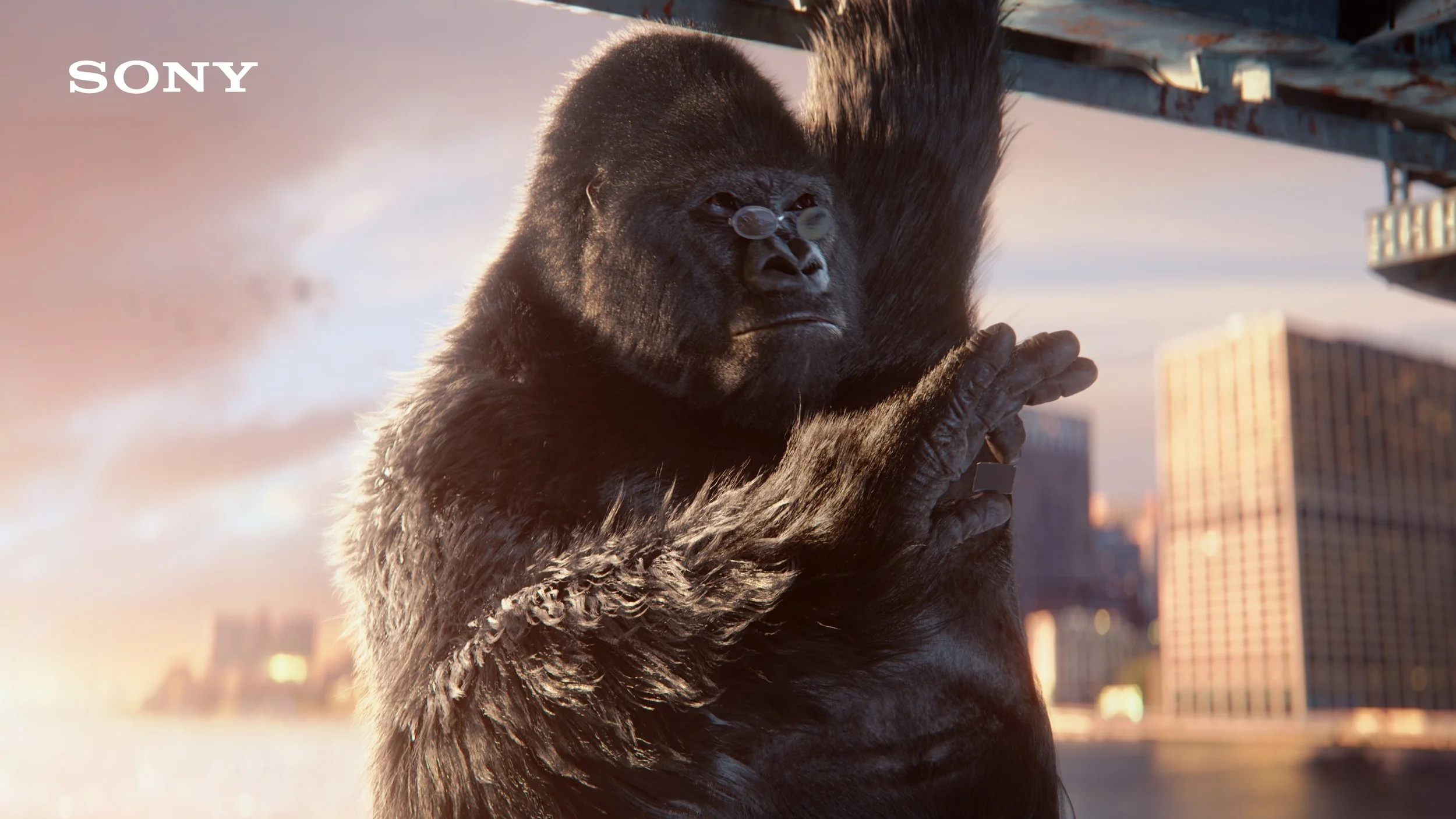 Bigger is Better|BRAVIA 2025 | Sony Official