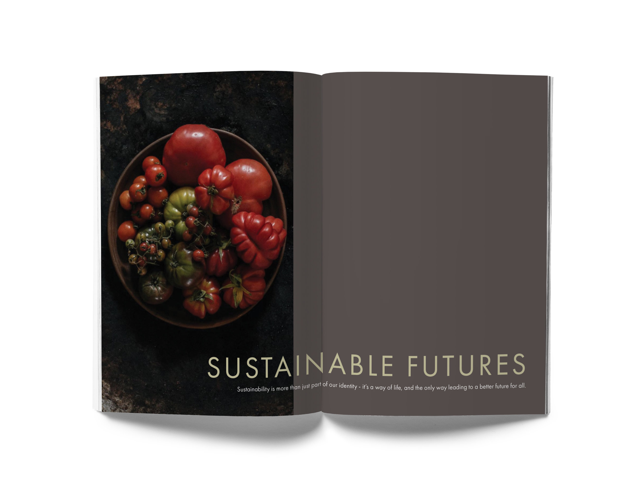 Magazine MockUp6.jpg