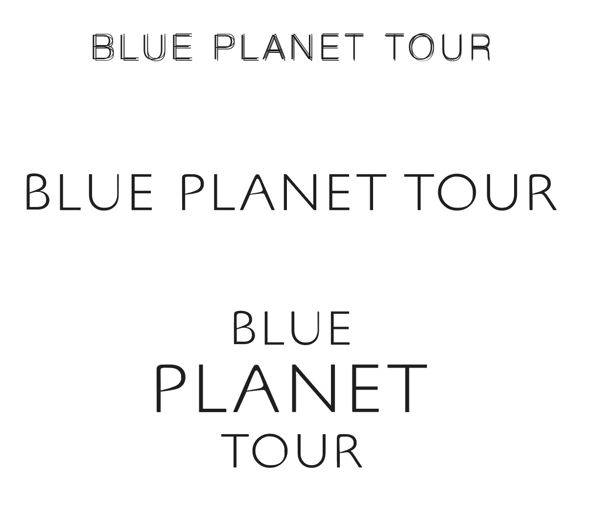 *sketches above were the basis for the final logo