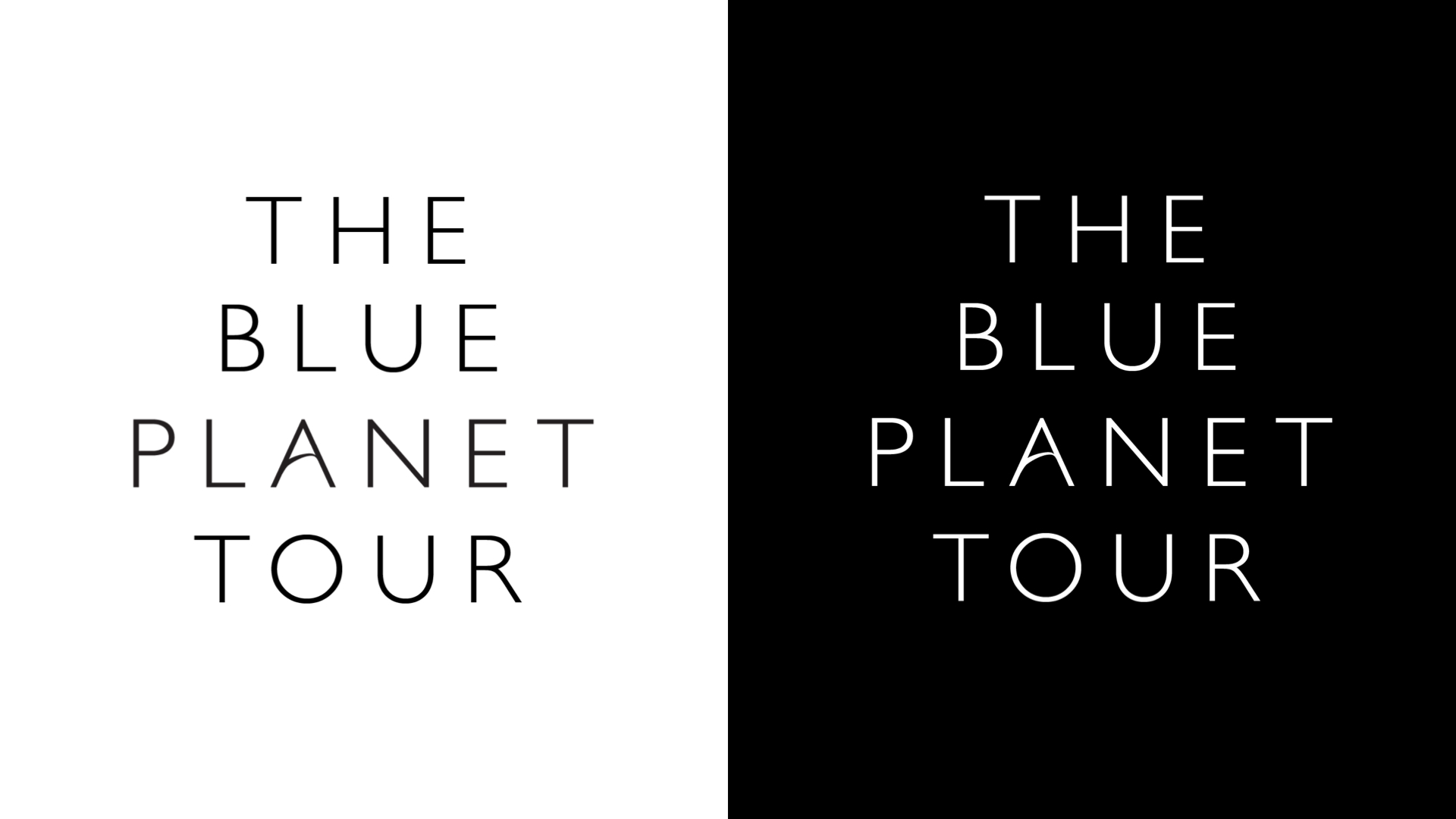 In the logo I designed for the tour, the crossbar of the A in “planet” was transformed into an organic stroke representing the curvature of an ocean wave.