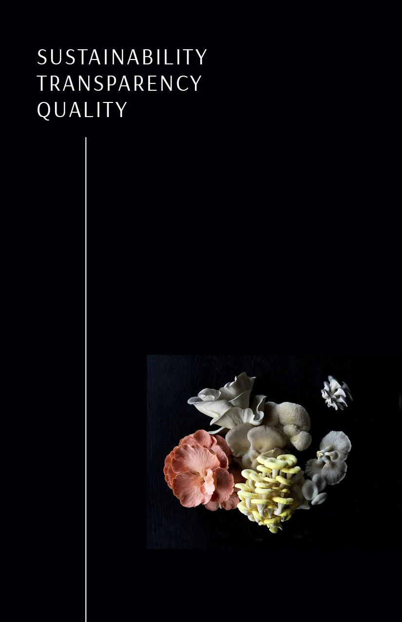 Bosken_Brochure2.jpg