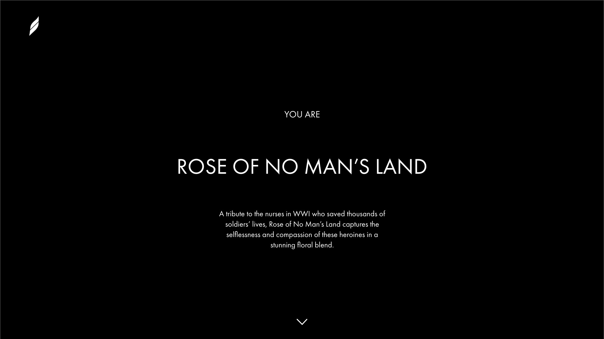 Landing Page – 10.jpg