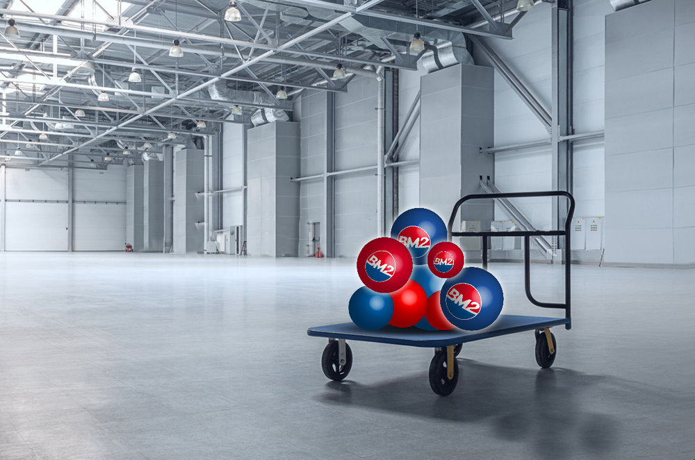  BIEMMEDUE SPA RESUMES NORMAL ACTIVITIES