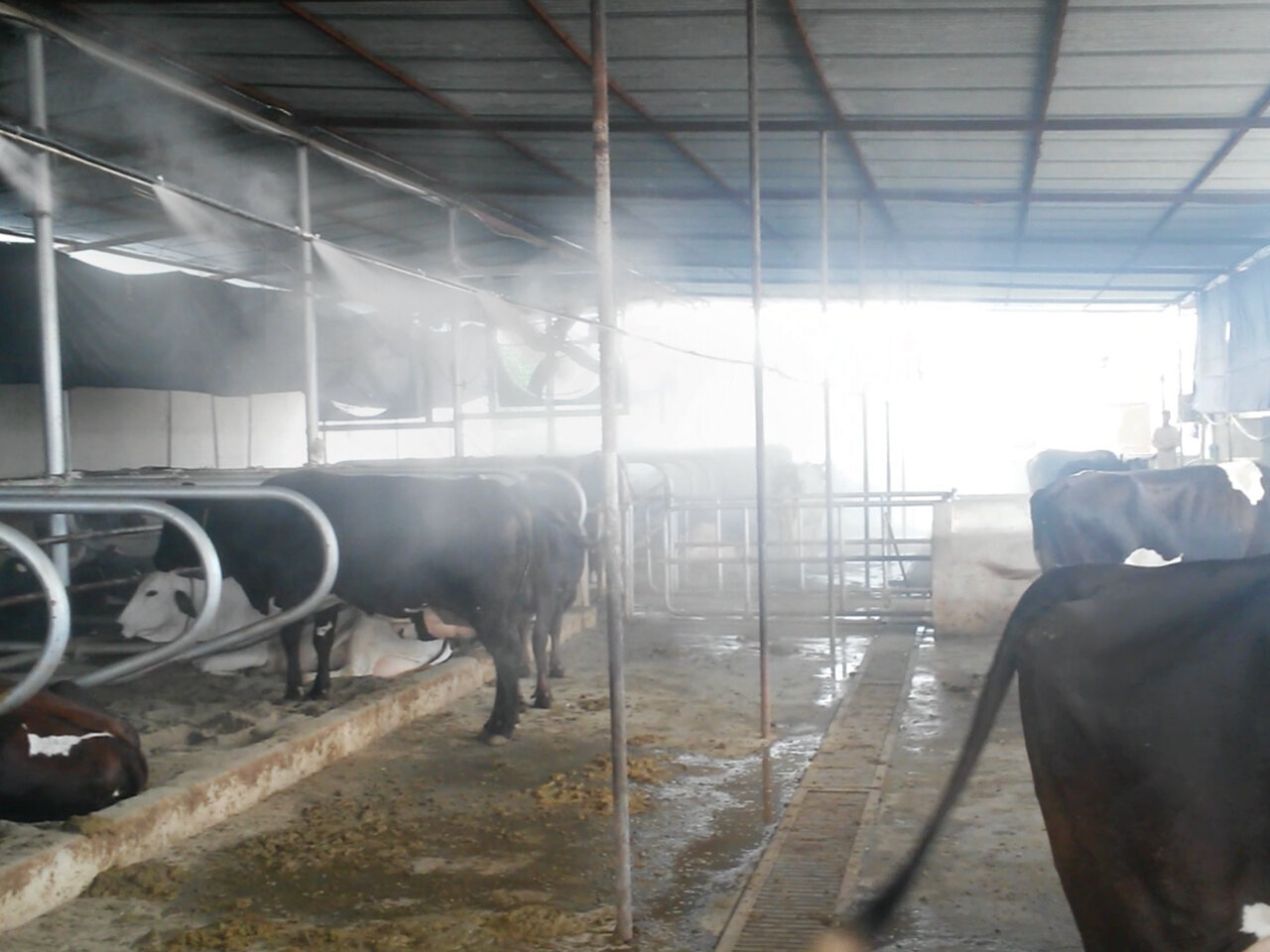 GRUPPI+NEBULIZZATORI+PER+RAFFRESCAMENTO+E+UMIDIFICAZIONE_MISTING+FOGGING+UNITS+FOR+COOLING+AND+HUMIDIFICATION6.jpeg