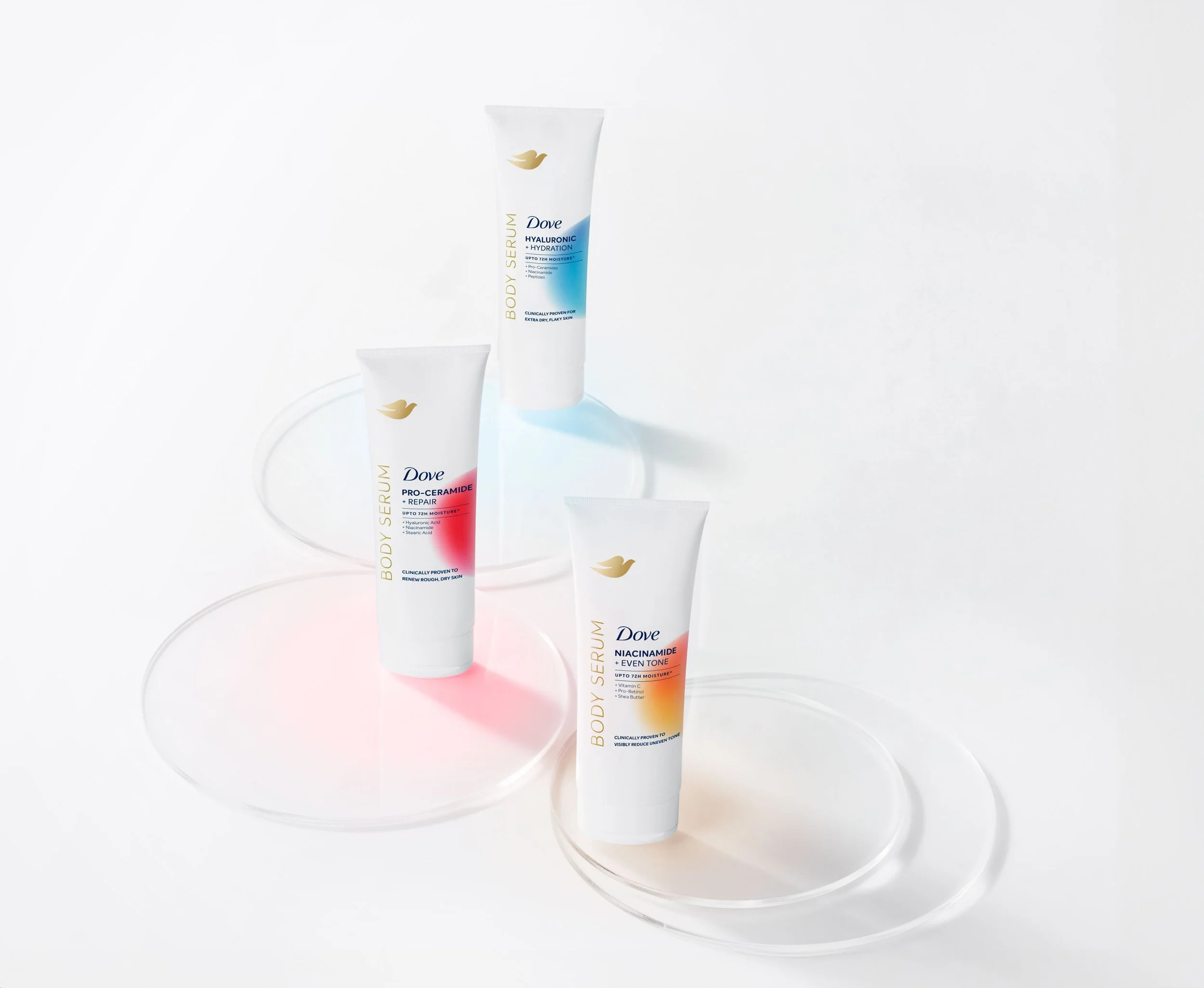 Petri-Dish-with-hues.jpg