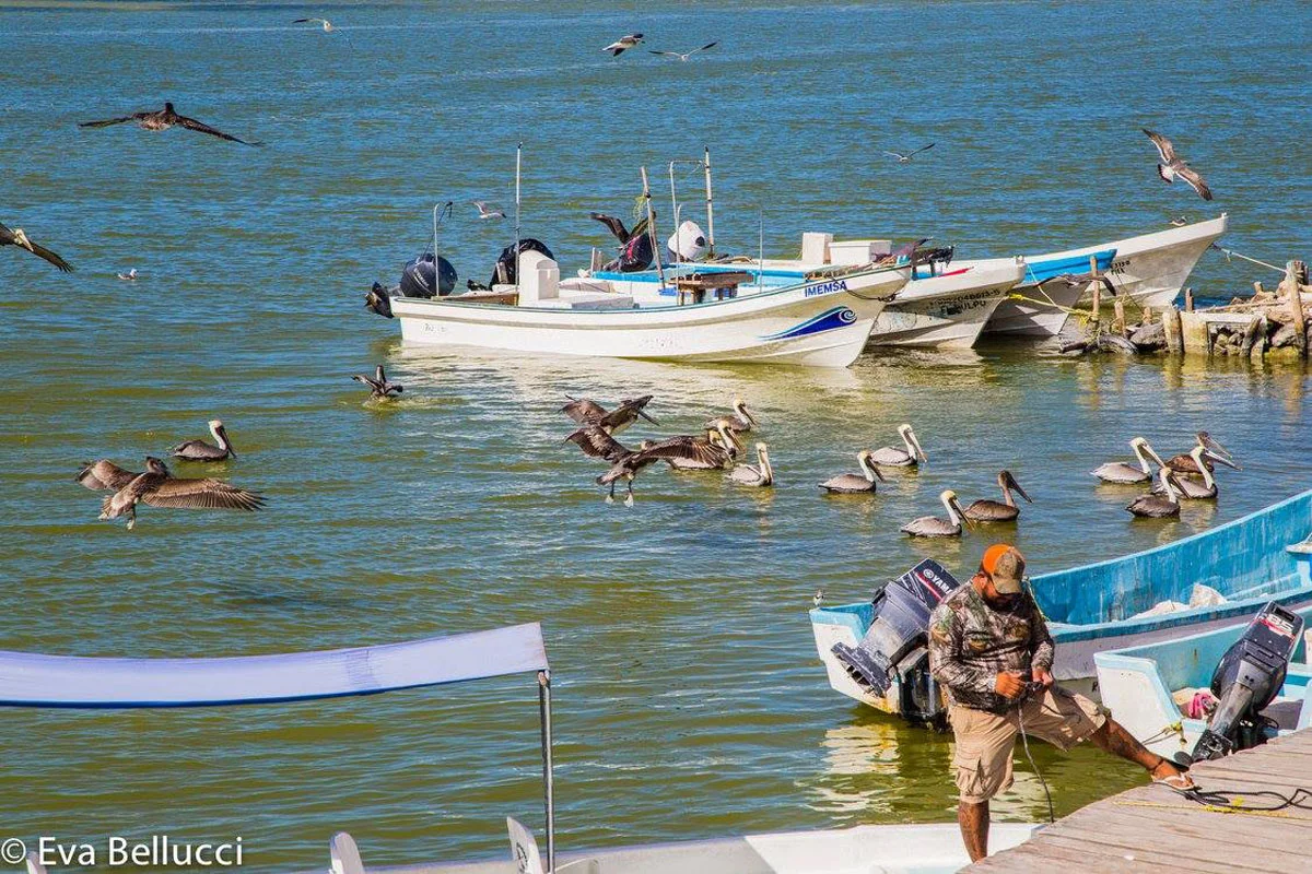 Hammocks_and_Ruins_Blog_Riviera_Maya_Mexico_Travel_Discover_Ruins_Muyil_Sian_Kaan_Float_28(LONG).jpg