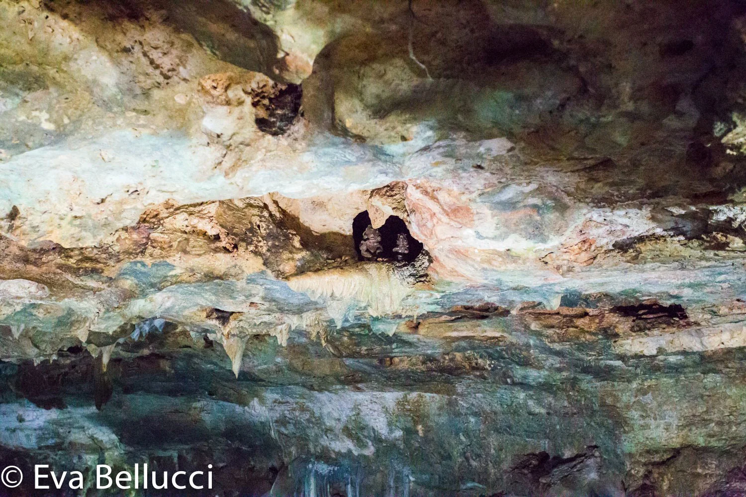 Hammocks_and_Ruins_Riviera_Maya_Mexico_Explore_What_to_Do_Valladolid_Yucatan_Cenote_Samula_13.jpg