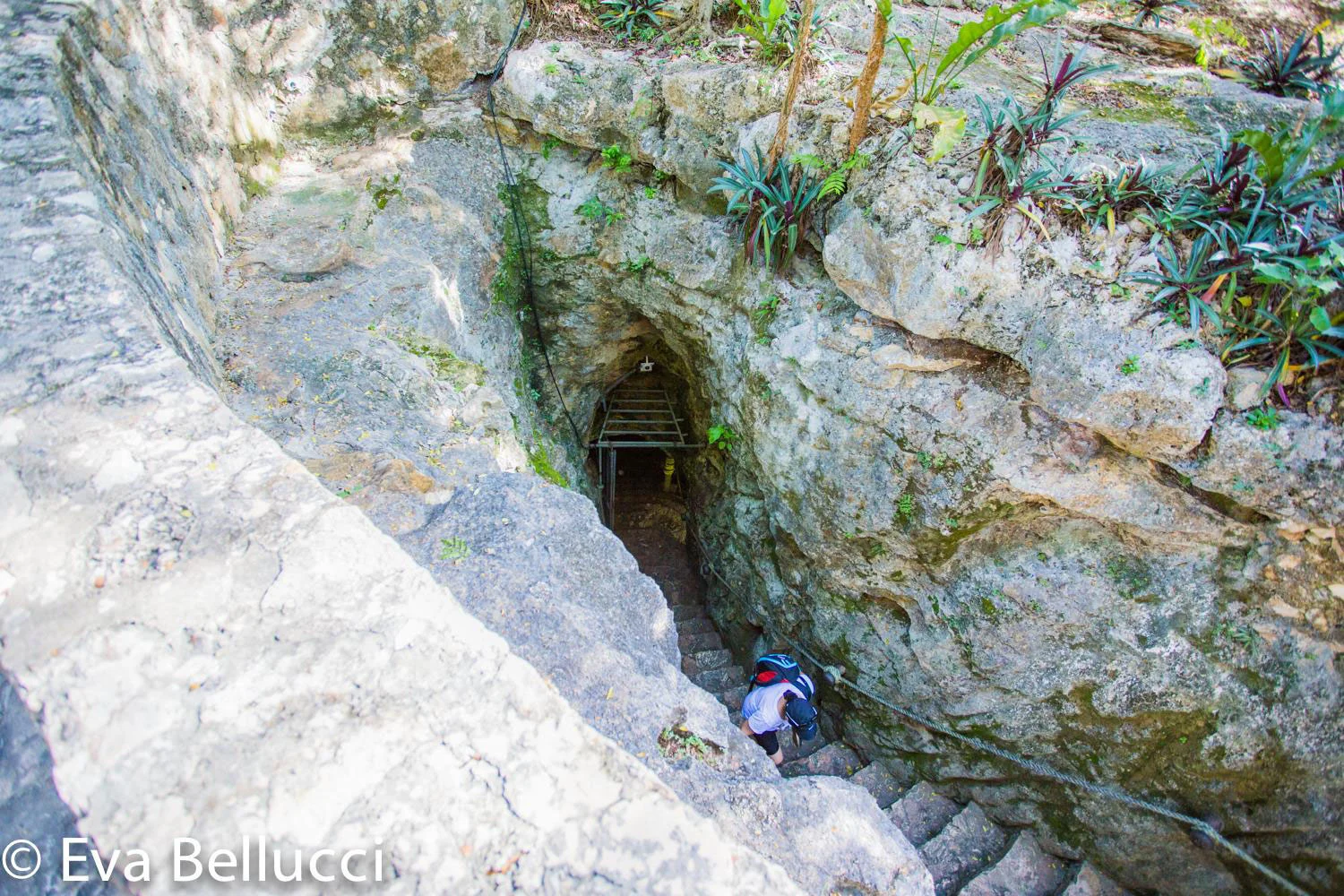 Entrance to the cenote. Right: With the Czech group after the swim.