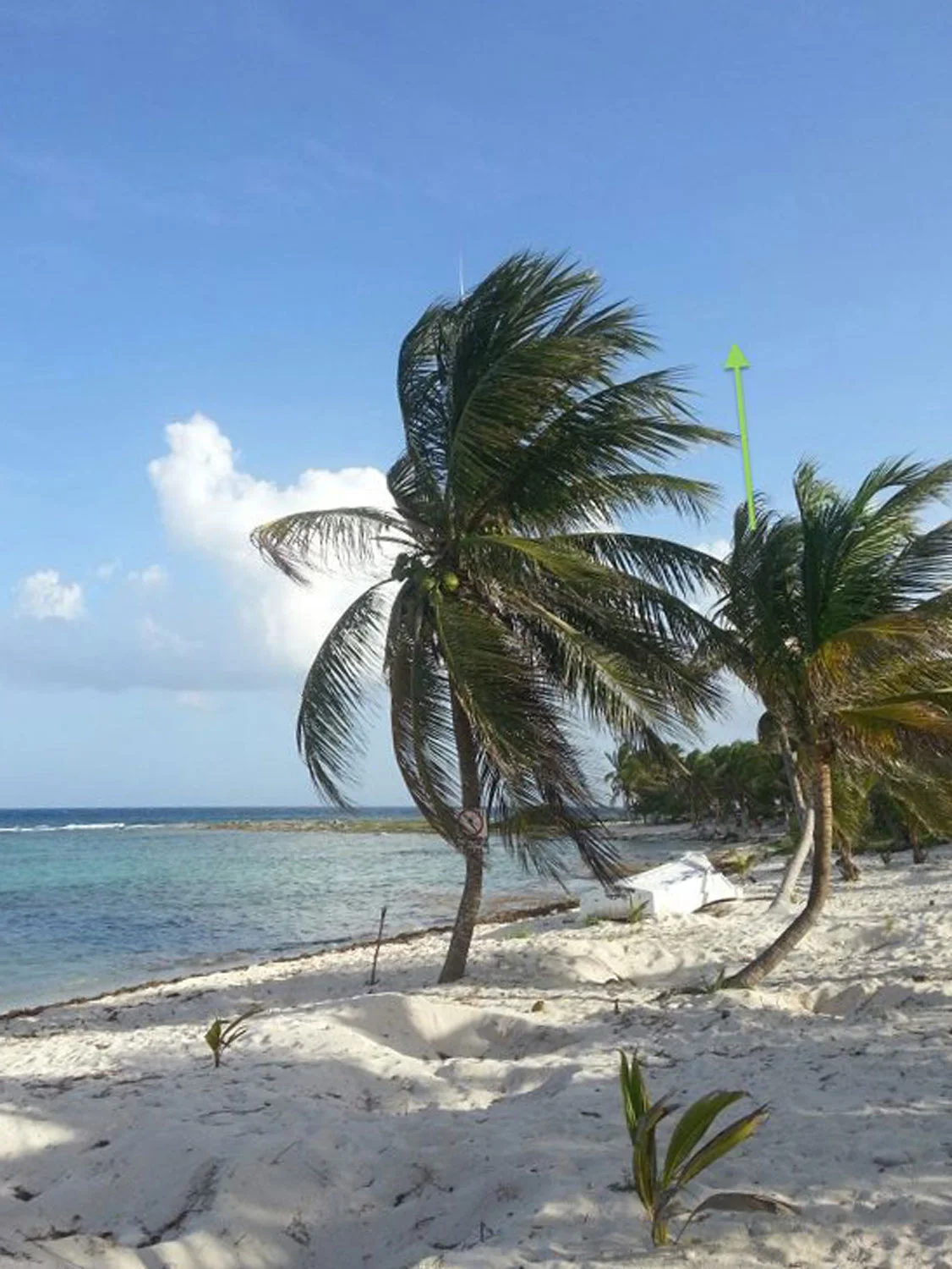 Hammocks_and_Ruins_Riviera_Maya_Mexico_Explore_What_to_Do_Yucatan_Playa_del_Carmen_Beahces_Paamul_20.jpg