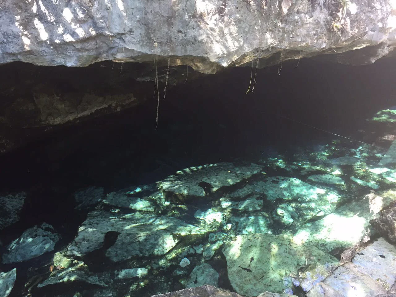 Hammocks_and_Ruins_Blog_Riviera_Maya_Mexico_Travel_Discover_Explore_Playa_del_Carmen_Cenote_Cristalino_6.jpg