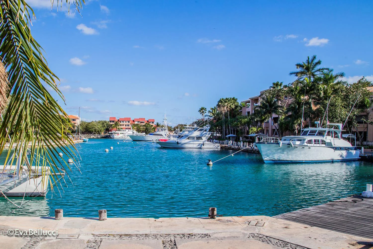 Hammocks_and_Ruins_Blog_Riviera_Maya_Mexico_Travel_Discover_Explore_What_to_do_Beaches_Puerto_Aventuras_56.jpg