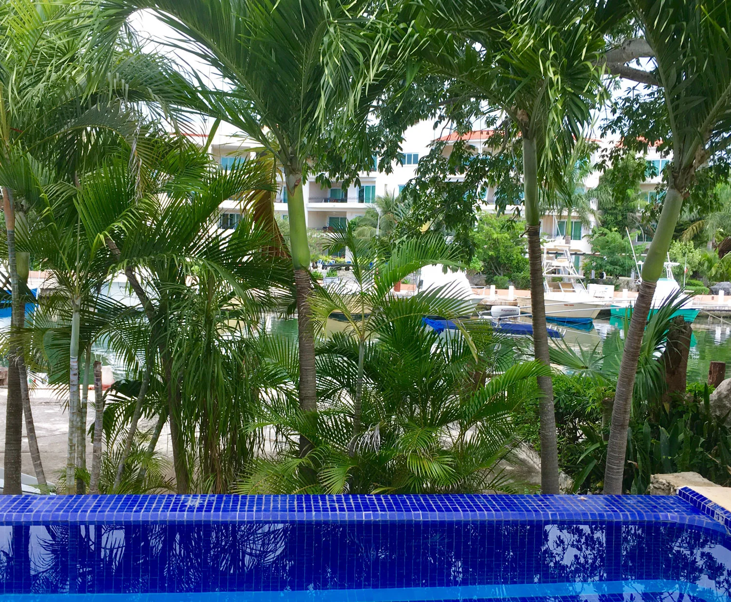 Hammocks_and_Ruins_Blog_Riviera_Maya_Mexico_Travel_Discover_Explore_What_to_do_Beaches_Puerto_Aventuras_4.jpg