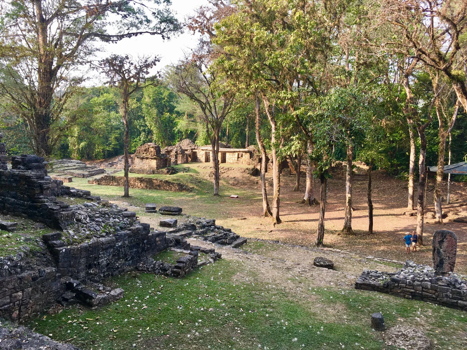 Hammocks_and_Ruins_Blog_Riviera_Maya_Mexico_Travel_Discover_Chiapas_What_to_do_Ruins_Yaxchilan_21.jpg