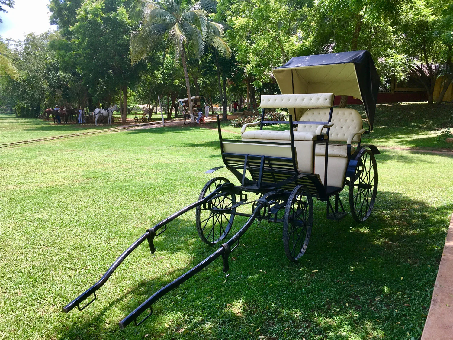 Hammocks_and_Ruins_Blog_Riviera_Maya_Mexico_Travel_Discover_Yucatan_What_to_do_Hacienda_Sotuta_de_Peon_30.jpg