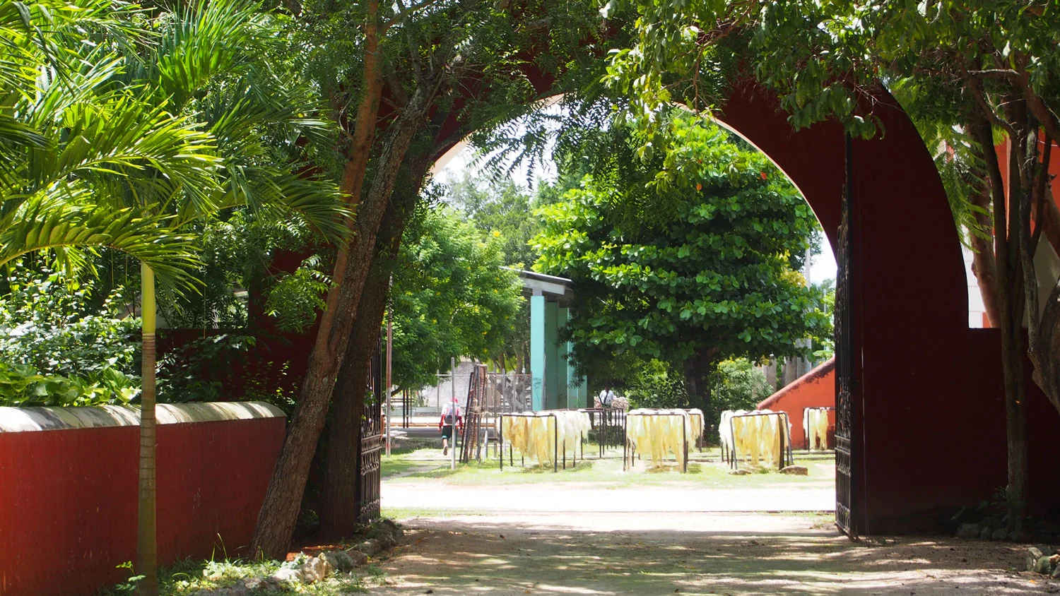 Hammocks_and_Ruins_Blog_Riviera_Maya_Mexico_Travel_Discover_Yucatan_What_to_do_Hacienda_Sotuta_de_Peon_1.jpg