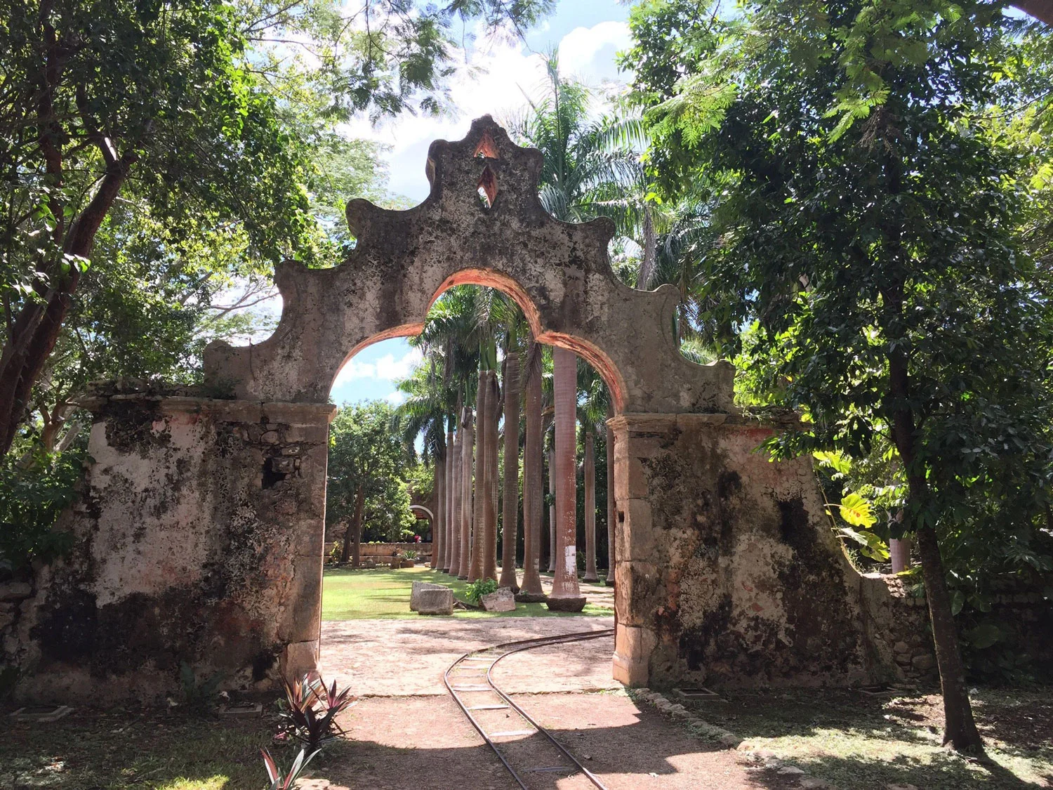 Cathedral de San Ildefonso. Left: The Montejo House.