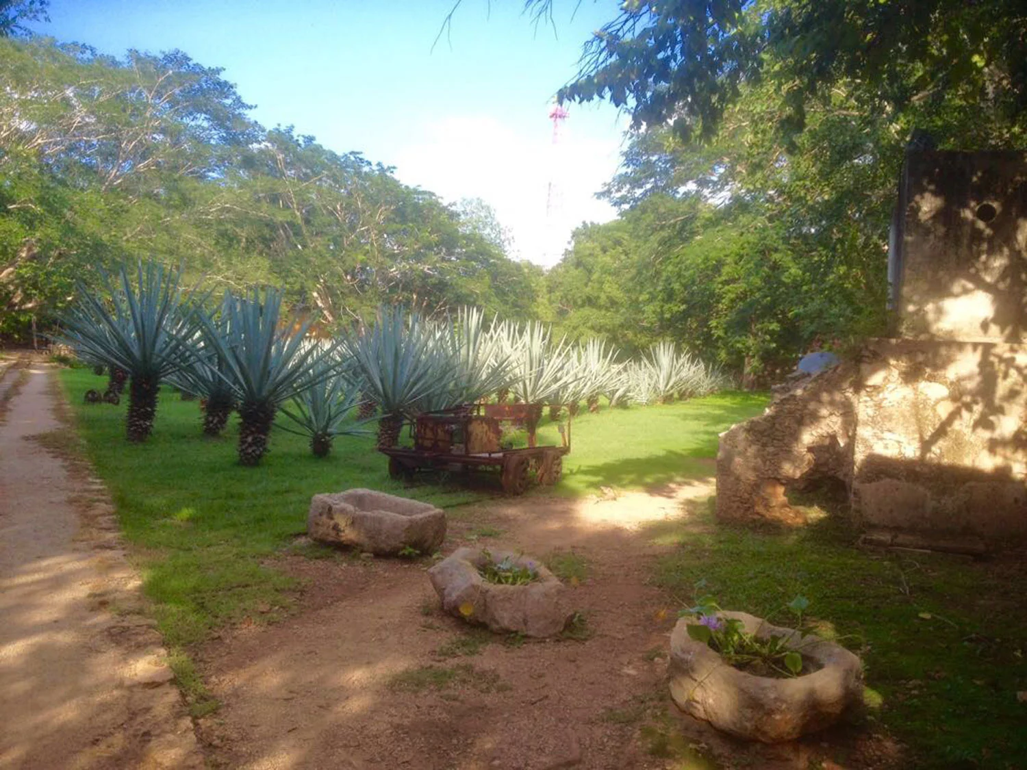 Hammocks_and_Ruins_Blog_Riviera_Maya_Mexico_Travel_Discover_Yucatan_What_to_do_Hacienda_Ochil_30.jpg