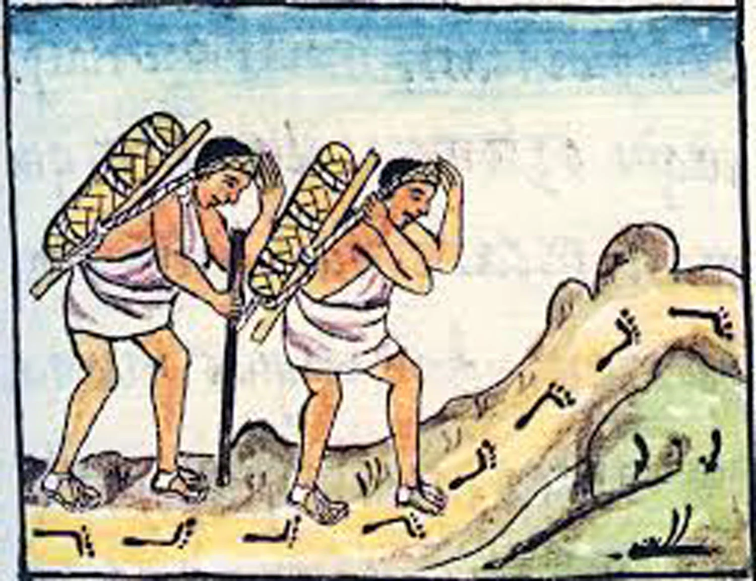 Pochteca merchants carrying cocoa. Source: wordpress.com .