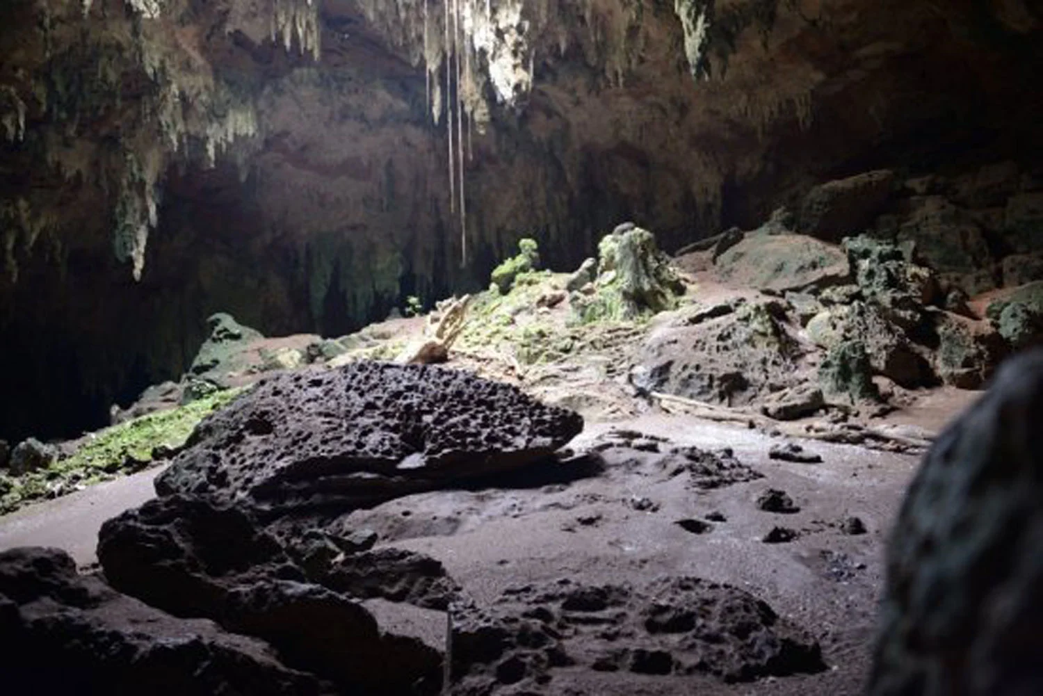Hammocks_and_Ruins_Riviera_Maya_Mexico_Explore_What_to_Do_Yucatan_Hammocks_Jungles_ Loltun_Cave_14.jpg