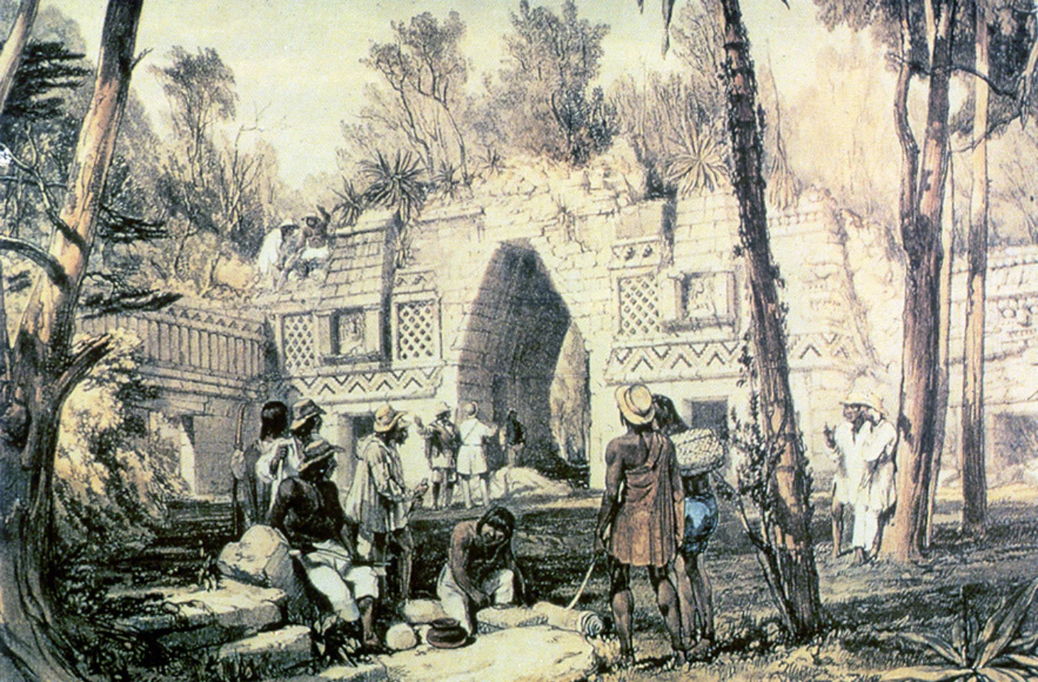 Drawing by Tatiana Proskouriakoff, 1946. Source: reed.edu .