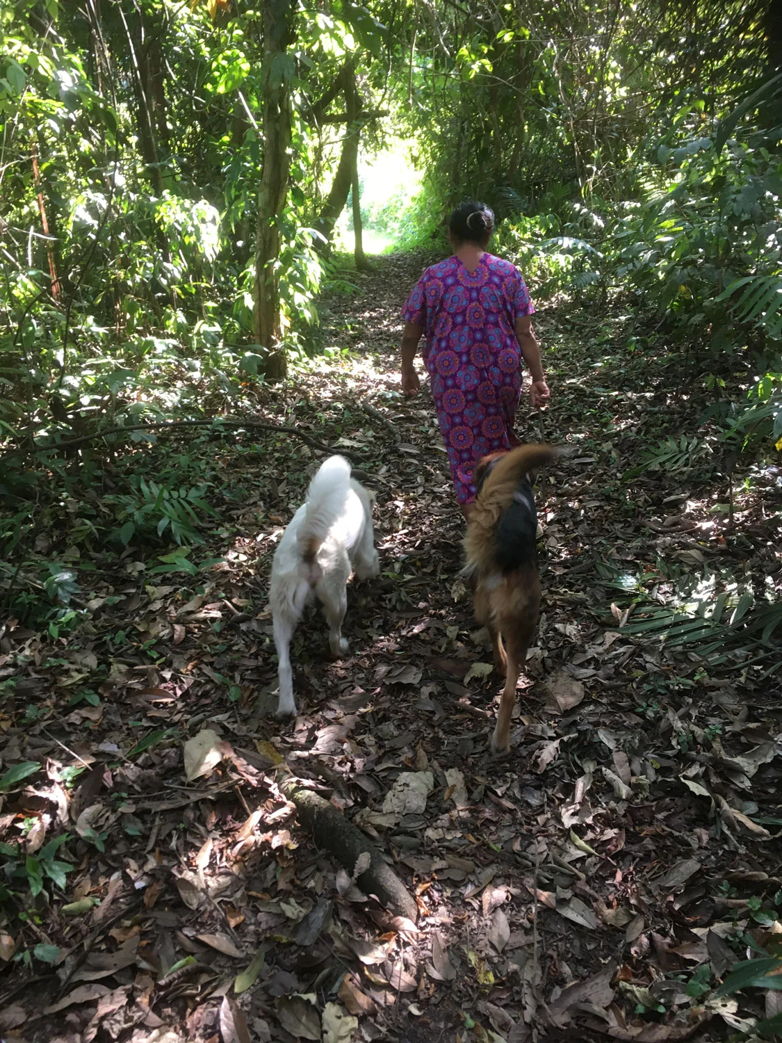 Our walking group.