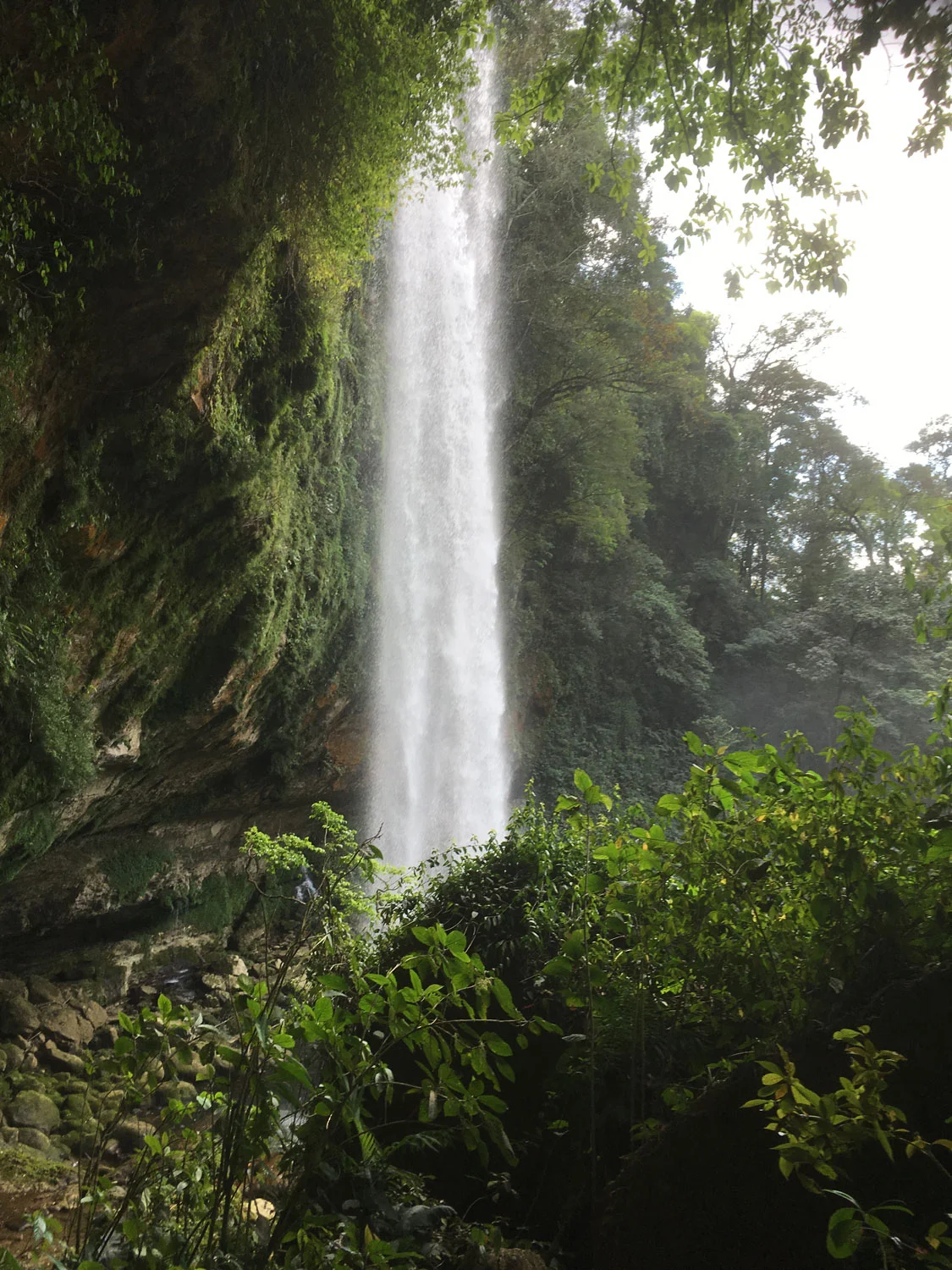 Hammocks_and_Ruins_Riviera_Maya_Mexico_Mayan_Trips_Palenque_Misol_Ha_Waterfalls_King_of_The_Jungle_6.jpg