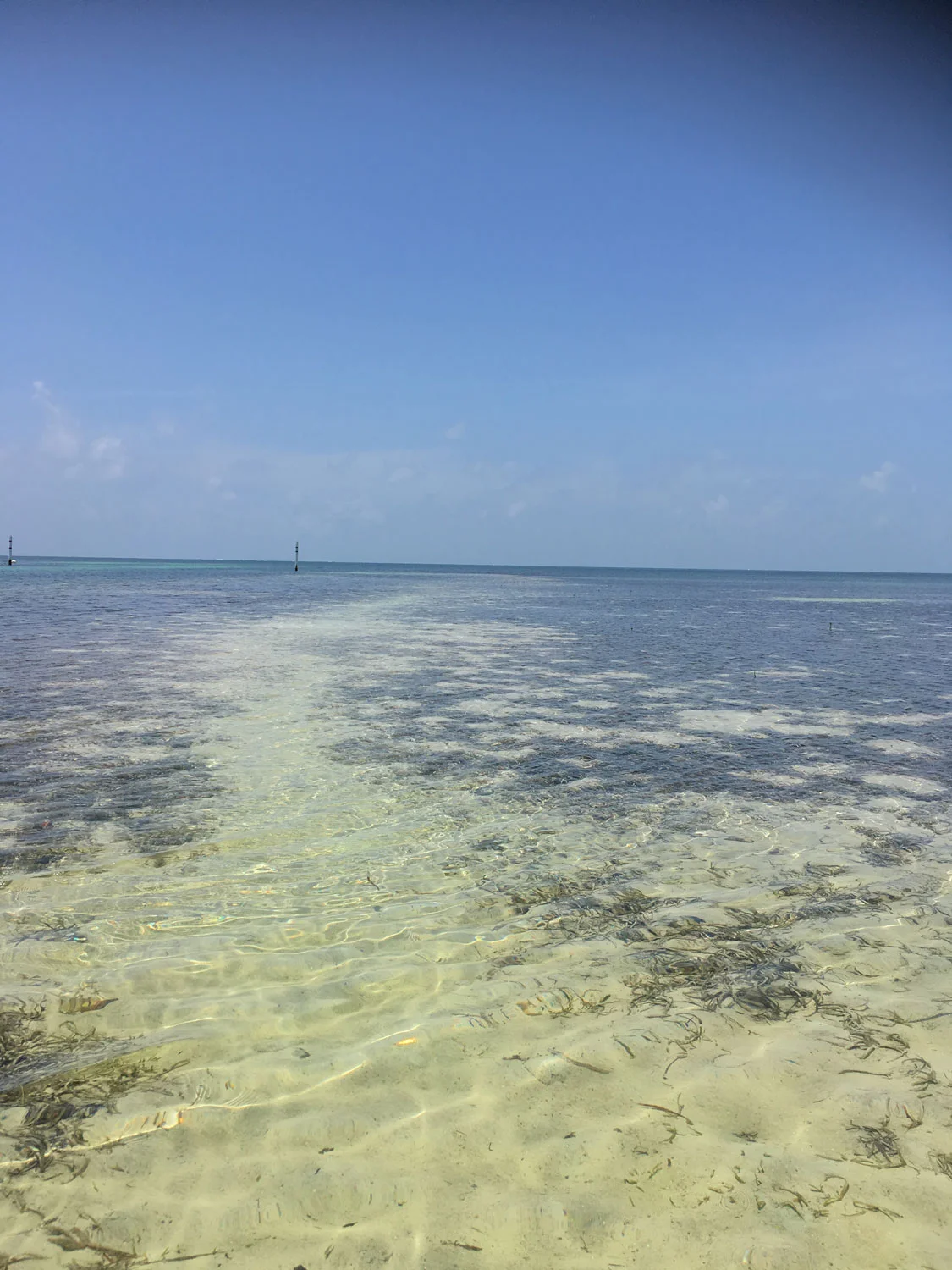 Hammocks_and_Ruins_Blog_Riviera_Maya_Mexico_Travel_Discover_Explore_Yucatan_Hammocks_Beaches_Near_Cancun_Punta_Nizuc_27.jpg