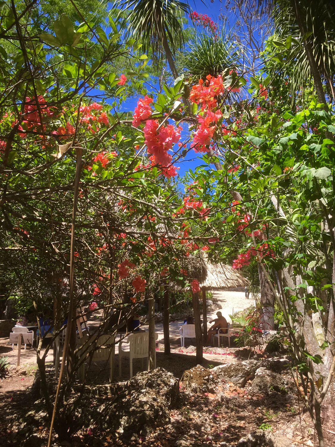 Hammocks_and_Ruins_Riviera_Maya_What_to_Do_Puerto_Morelos_Cenotes_Verdo_Lucero_38.jpg